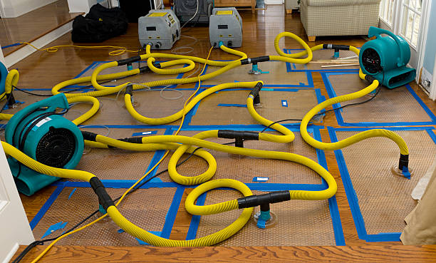 Professional Structural Drying And Dehumidification technician working in Viola, WI